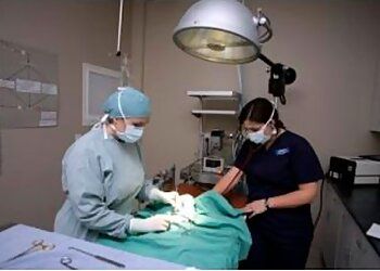 Clinic photo/Office of Dr. MOUNTAINVIEW ANIMAL HOSPITAL