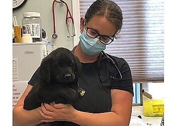 Clinic photo/Office of Dr. MURDOCH VETERINARY CLINIC LTD