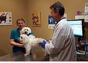 Clinic photo/Office of Dr. MUSKOKA ANIMAL HOSPITAL