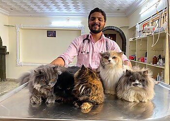 Clinic photo/Office of Dr. MY PET CLINIC