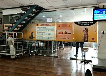 Clinic photo/Office of Dr. NANDINI VETERINARY HOSPITAL