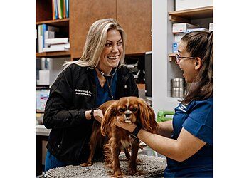 Clinic photo/Office of Dr. NASHVILLE VETERINARY SPECIALISTS + ANIMAL EMERGENCY