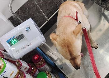 Clinic photo/Office of Dr. NEW HOPE ANIMAL HOSPITAL