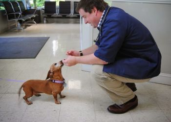 Clinic photo/Office of Dr. NICHOLASVILLE ROAD ANIMAL HOSPITAL