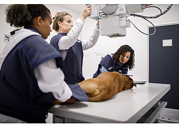 Clinic photo/Office of Dr. NOAH&#x27;S ARK ANIMAL HOSPITAL &amp; BIRD CLINIC