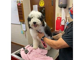 Clinic photo/Office of Dr. NOLANA ANIMAL HOSPITAL