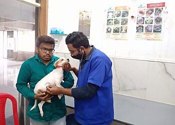 Clinic photo/Office of Dr. NOMADICUS VET