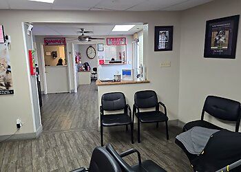 Clinic photo/Office of Dr. NORTHEAST VETERINARY CLINIC