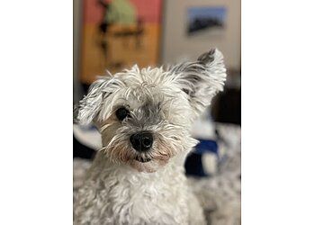 Clinic photo/Office of Dr. NORTHEAST VETERINARY HOSPITAL