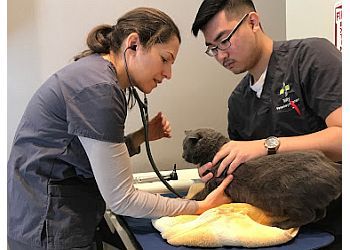 Clinic photo/Office of Dr. NORTHERN LIBERTIES VETERINARY CENTER