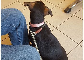 Clinic photo/Office of Dr. NORTHWESTERN VETERINARY HOSPITAL