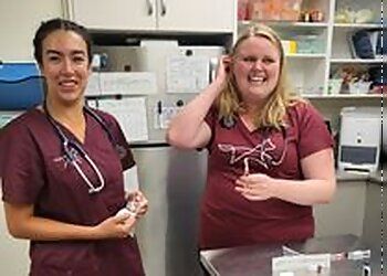 Clinic photo/Office of Dr. OAKLANDS VETERINARY HOSPITAL