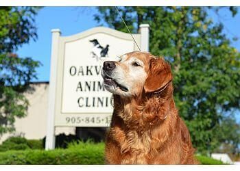 Clinic photo/Office of Dr. OAKVILLE ANIMAL CLINIC