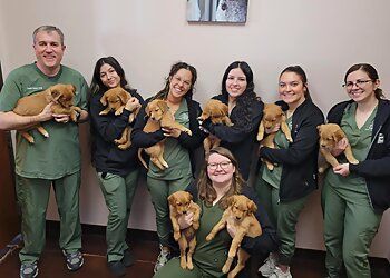 Clinic photo/Office of Dr. OASIS ANIMAL HOSPITAL