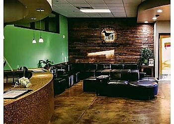 Clinic photo/Office of Dr. OCOTILLO ANIMAL CLINIC &amp; PET RESORT