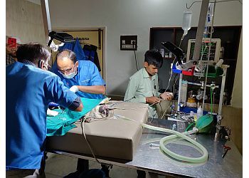 Clinic photo/Office of Dr. OM VETERINARY HOSPITAL