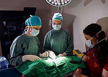 Clinic photo/Office of Dr. PARKSIDE ANIMAL HOSPITAL