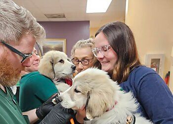 Clinic photo/Office of Dr. PATRICK VETERINARY CLINIC