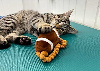 Clinic photo/Office of Dr. PATTERSON DOG &amp; CAT HOSPITAL