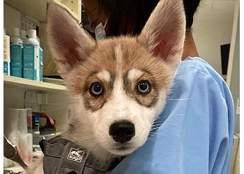 Clinic photo/Office of Dr. P.A.W (PEOPLE ANIMAL WELLNESS) VETERINARY CENTRE PTE.LTD