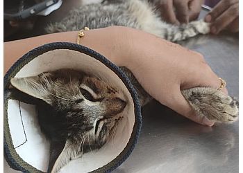 Clinic photo/Office of Dr. PAWS AND HOOVES ROYAL ANIMAL HOSPITAL