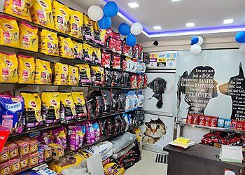 Clinic photo/Office of Dr. PAWZ PETCARE