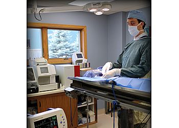 Clinic photo/Office of Dr. PERRYVILLE PET HOSPITAL