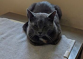 Clinic photo/Office of Dr. PERTH VETERINARY SERVICES