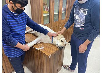 Clinic photo/Office of Dr. PET CARE AND CURE