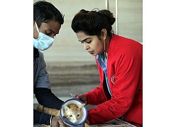 Clinic photo/Office of Dr. PET CHIKITSA VETERINARY HOSPITAL