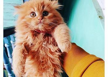 Clinic photo/Office of Dr. PET ERENA PET POLYCLINIC AND PARLOUR