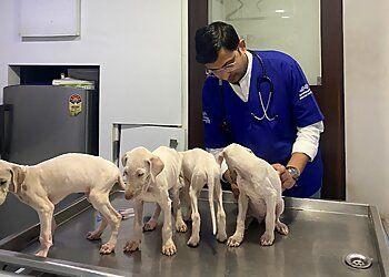 Clinic photo/Office of Dr. PET PERFECT