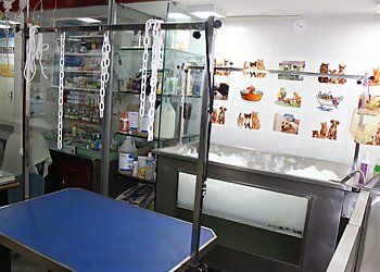 Clinic photo/Office of Dr. PETS CARE HOSPITAL