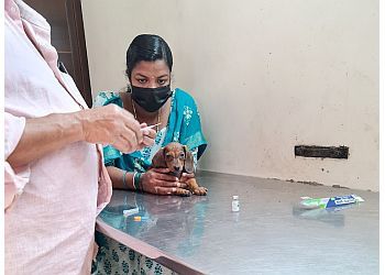 Clinic photo/Office of Dr. PETS CLINIC