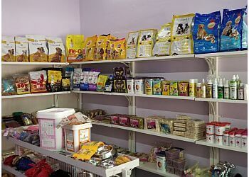 Clinic photo/Office of Dr. PETS PARADISE