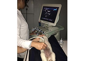 Clinic photo/Office of Dr. PETSADENA ANIMAL HOSPITAL