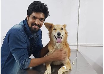 Clinic photo/Office of Dr. PREMIER VET CARE