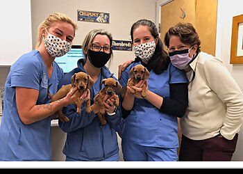 Clinic photo/Office of Dr. PROVIDENCE RIVER ANIMAL HOSPITAL