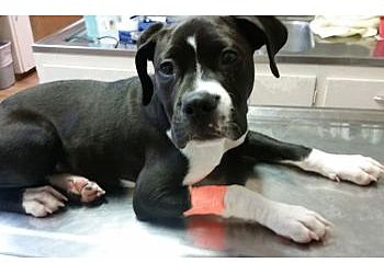 Clinic photo/Office of Dr. PUEBLO SMALL ANIMAL CLINIC