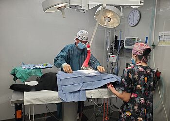 Clinic photo/Office of Dr. QUEENSBOROUGH VETERINARY HOSPITAL