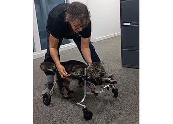 Clinic photo/Office of Dr. RAPS ANIMAL HOSPITAL