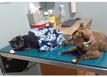 Clinic photo/Office of Dr. REGAL VETERINARY CLINIC