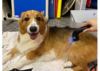 Clinic photo/Office of Dr. REHABVET CLINIC