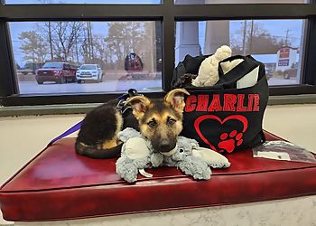Clinic photo/Office of Dr. RIVERBARK VETERINARY HOSPITAL