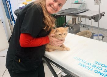 Clinic photo/Office of Dr. ROCKHILL PET CLINIC