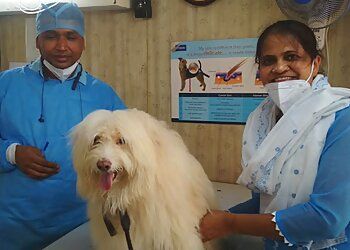 Clinic photo/Office of Dr. ROYAL PET CLINIC