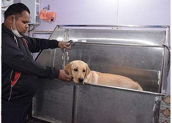 Clinic photo/Office of Dr. S K PET CLINIC