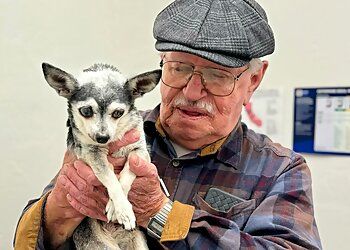 Clinic photo/Office of Dr. SAN JOSE ANIMAL HOSPITAL