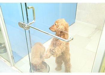 Clinic photo/Office of Dr. SANCHU ANIMAL HOSPITAL