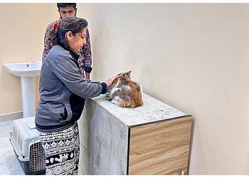 Clinic photo/Office of Dr. SHREE PET CLINIC